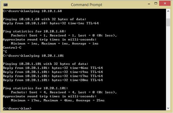 ping1